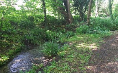 Easterton Brook bank repair and public access slope
