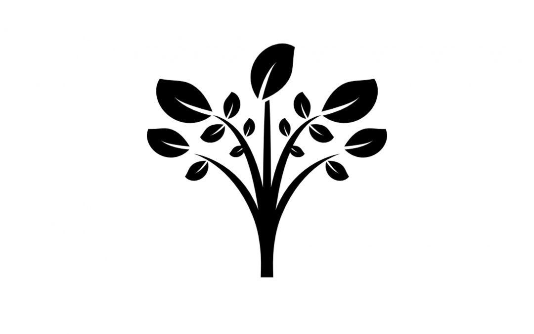 What is Coppicing?
