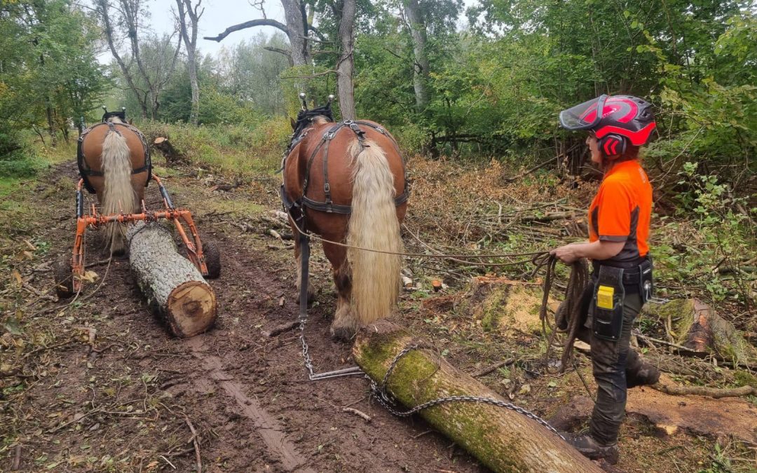 Wiltshire Countryside Services