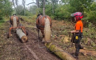 Wiltshire Countryside Services