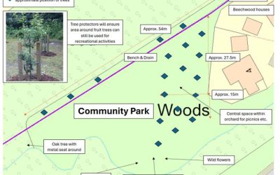 Community Orchard in Community Park: Tree Layout